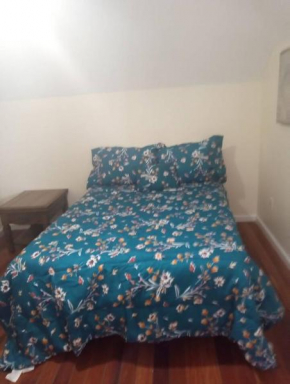 a nice one bedroom free parking